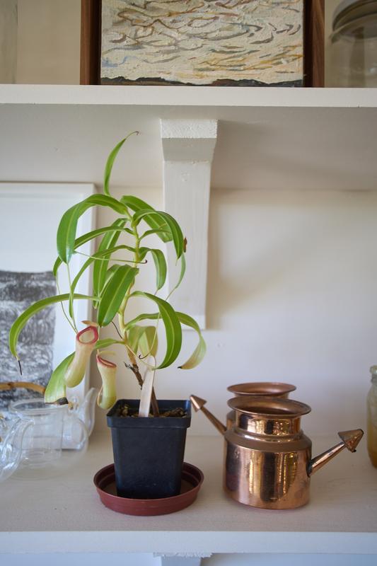 To Let 2 Bedroom Property for Rent in Poortjies Western Cape